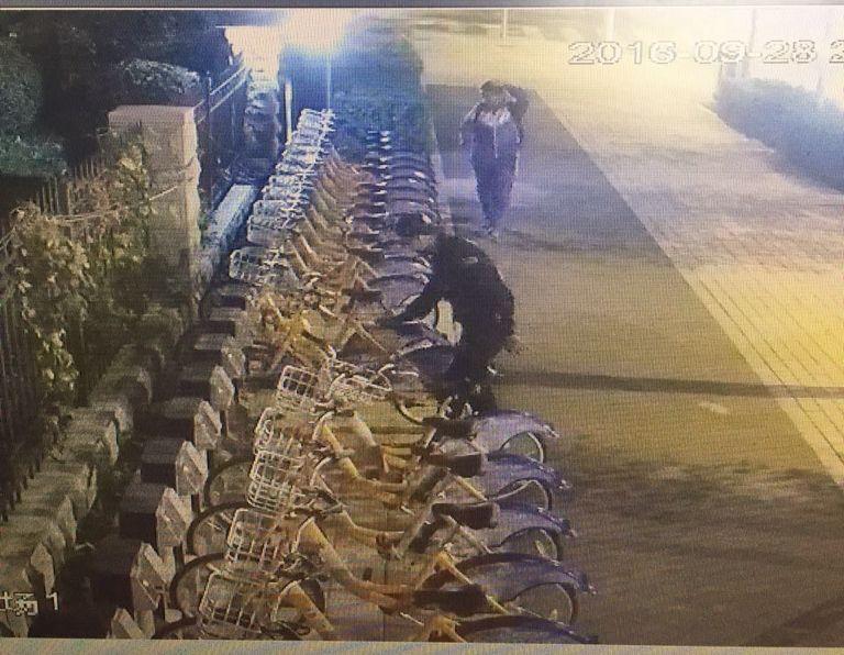 ���ô�pc����(�й���)���޹�˾����