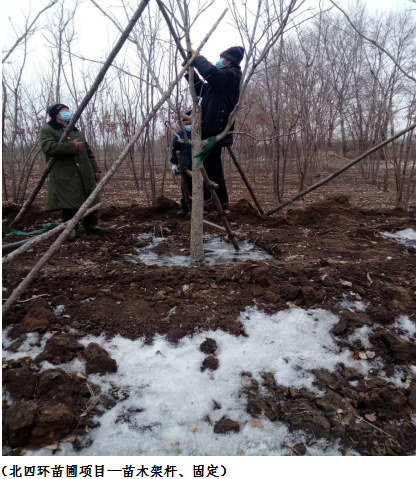 ���ô�pc����(�й���)���޹�˾����