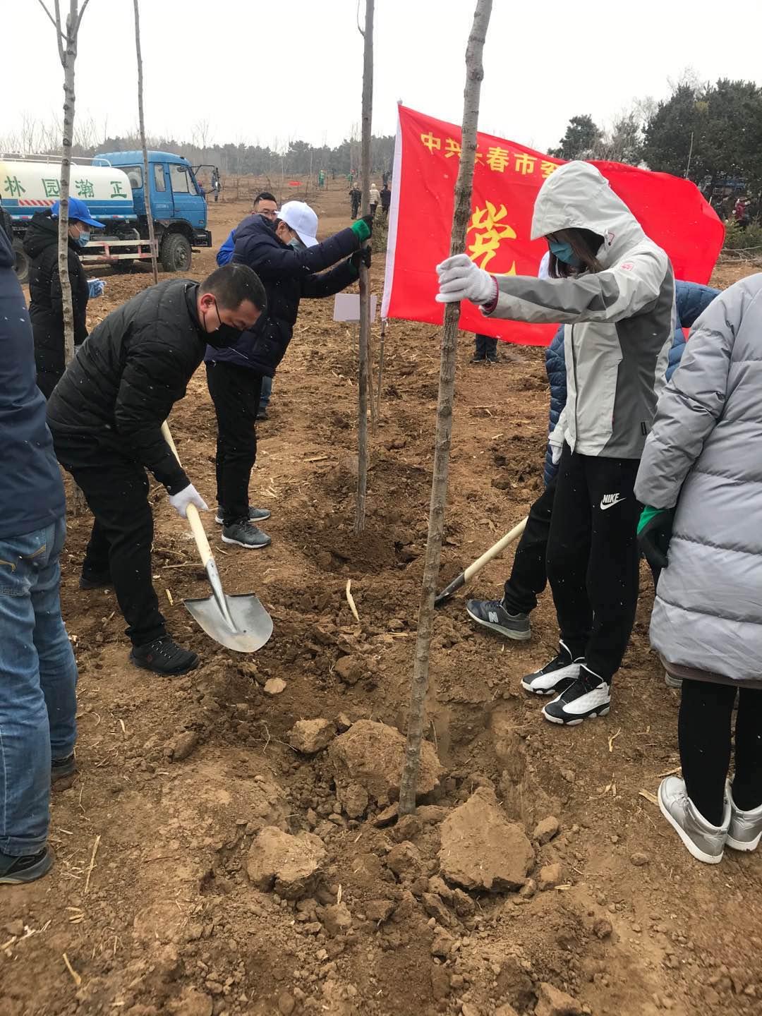 ���ô�pc����(�й���)���޹�˾����