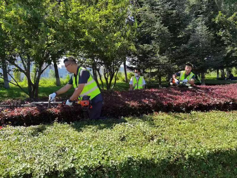 ���ô�pc����(�й���)���޹�˾����