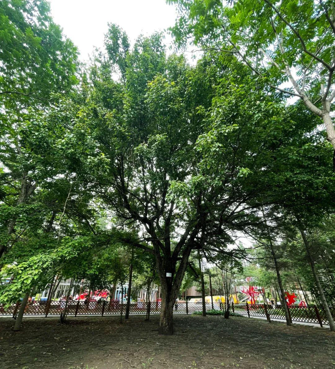 ¼ÓÄôópc¹ÙÍø(ÖйúÓÎ)ÓÐÏÞ¹«Ë¾¹ÙÍø